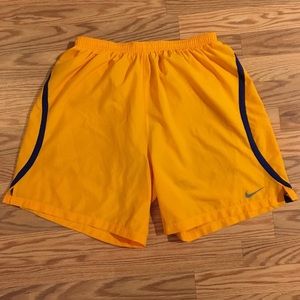 NIKE DRI-FIT Running Lined Shorts